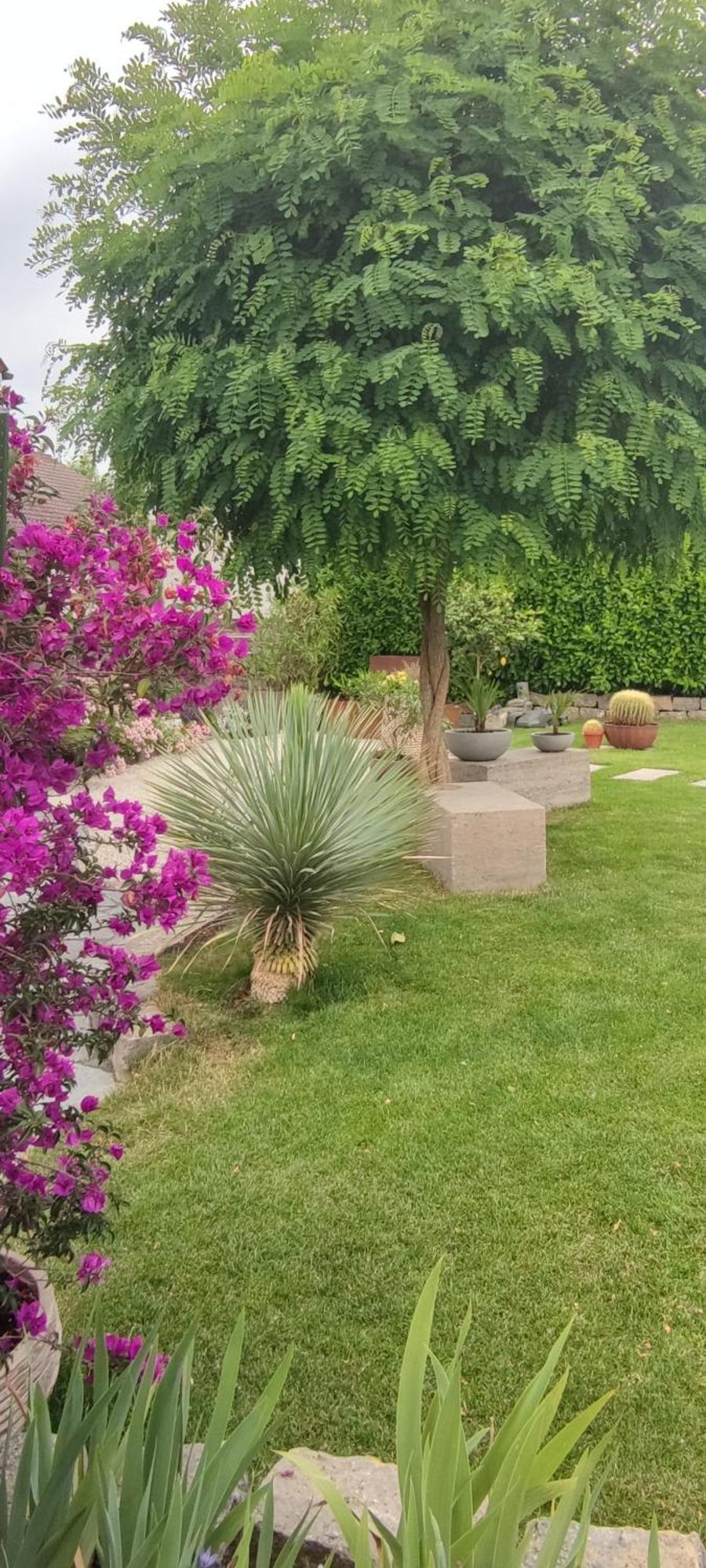 Bel Giardino Appartement FDH Buitenkant foto