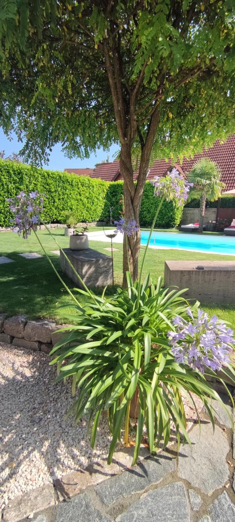 Bel Giardino Appartement FDH Buitenkant foto